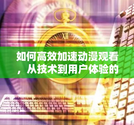 如何高效加速动漫观看,从技术到用户体验的深入分析