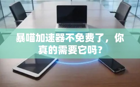 暴喵加速器不免费了,你真的需要它吗?