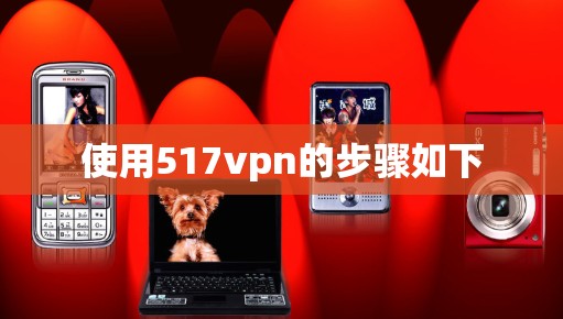 使用517vpn的步骤如下 使用517vpn的步骤如下