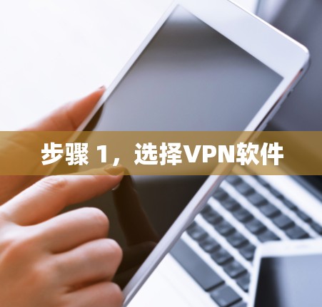 步骤 1,选择VPN软件 步骤 1,选择VPN软件