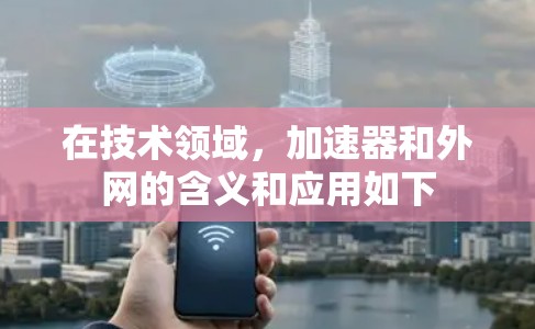 在技术领域，加速器和外网的含义和应用如下
