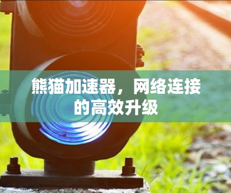 熊猫加速器,网络连接的高效升级 熊猫加速器,网络连接的高效升级