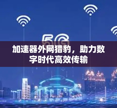 加速器外网猎豹,助力数字时代高效传输 加速器外网猎豹,助力数字时代高效传输