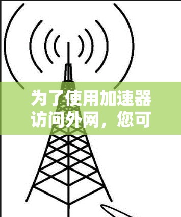 为了使用加速器访问外网，您可以按照以下步骤进行操作