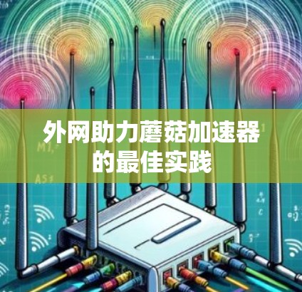 外网助力蘑菇加速器的最佳实践