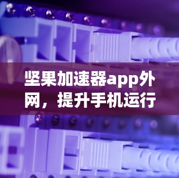 坚果加速器app外网，提升手机运行速度的快捷解决方案
