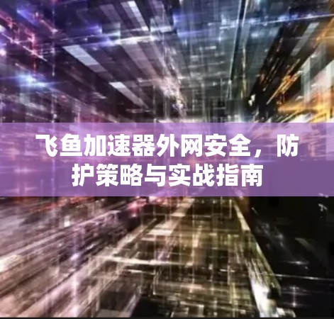 飞鱼加速器外网安全,防护策略与实战指南 飞鱼加速器外网安全,防护策略与实战指南