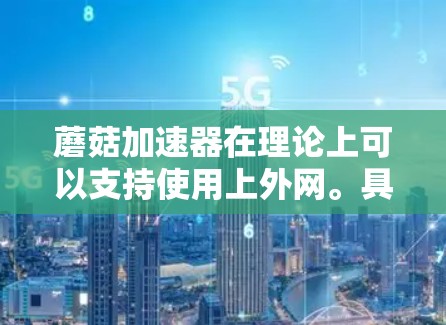 蘑菇加速器在理论上可以支持使用上外网。具体使用情况取决于以下因素