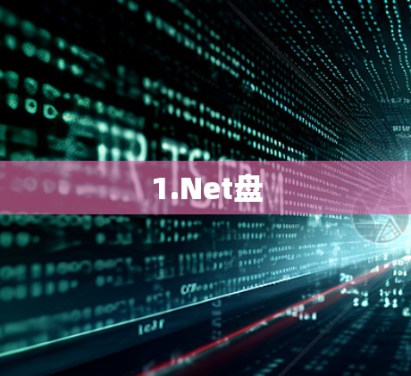 1.Net盘 1.Net盘