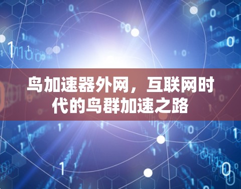 鸟加速器外网，互联网时代的鸟群加速之路