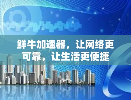 鲜牛加速器,让网络更可靠,让生活更便捷 鲜牛加速器,让网络更可靠,让生活更便捷