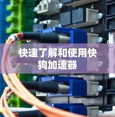 快速了解和使用快狗加速器