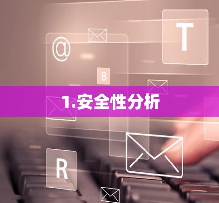 1.安全性分析 1.安全性分析