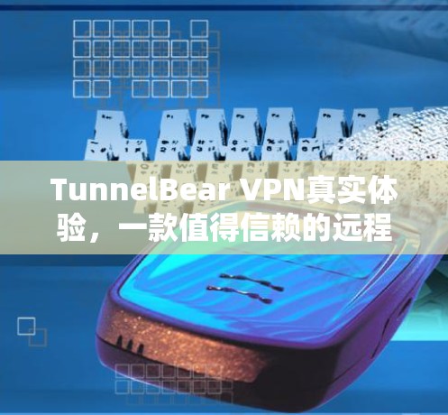 TunnelBear VPN真实体验，一款值得信赖的远程办公VPN