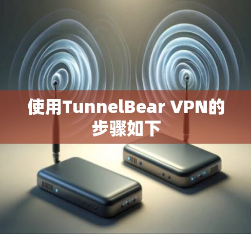 使用TunnelBear VPN的步骤如下