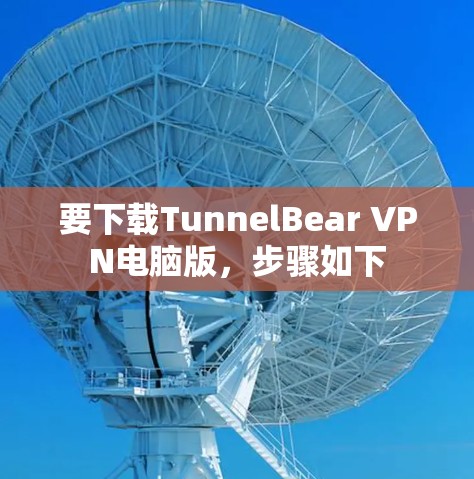 要下载TunnelBear VPN电脑版，步骤如下