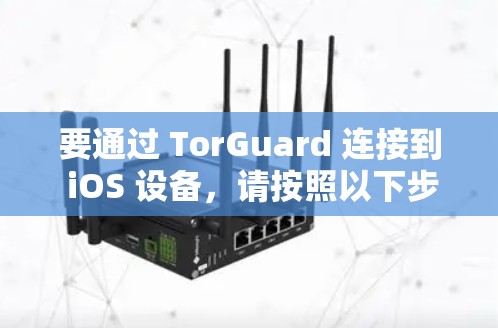 要通过 TorGuard 连接到 iOS 设备,请按照以下步骤操作 要通过 TorGuard 连接到 iOS 设备,请按照以下步骤操作