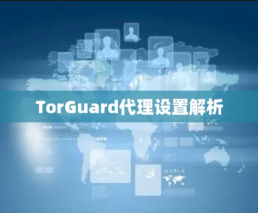 TorGuard代理设置解析