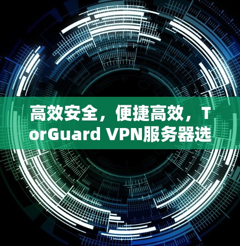 高效安全，便捷高效，TorGuard VPN服务器选择