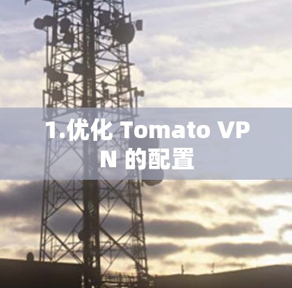 1.优化 Tomato VPN 的配置 1.优化 Tomato VPN 的配置