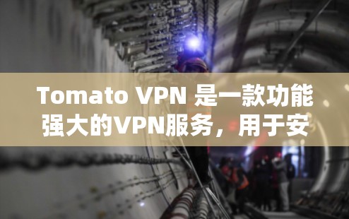 Tomato VPN 是一款功能强大的VPN服务,用于安全地传输数据。为了测试 Tomato VPN 的节点,您可以按照以下步骤进行 Tomato VPN 是一款功能强大的VPN服务,用于安全地传输数据。为了测试 Tomato VPN 的节点,您可以按照以下步骤进行