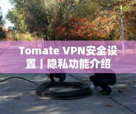 Tomate VPN安全设置|隐私功能介绍 Tomate VPN安全设置|隐私功能介绍