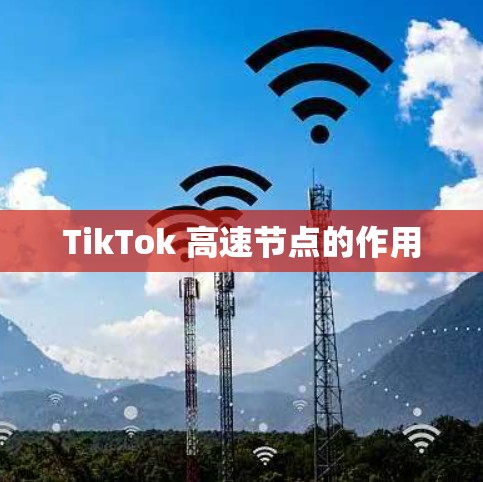 TikTok 高速节点的作用