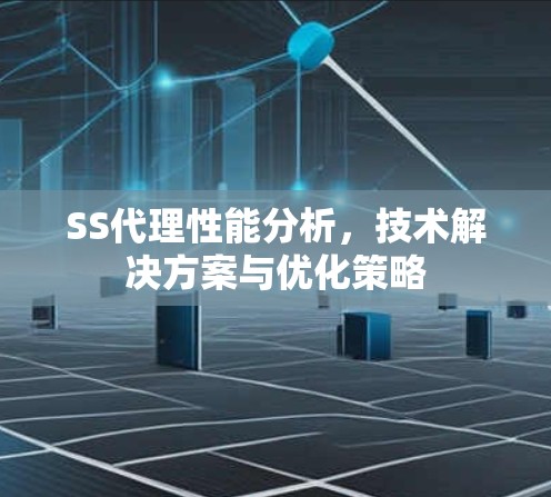 SS代理性能分析，技术解决方案与优化策略