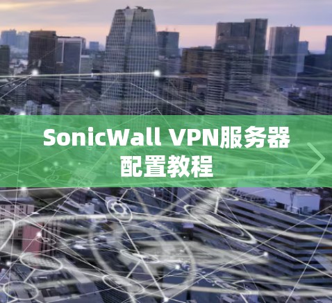 SonicWall VPN服务器配置教程