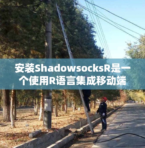 安装ShadowsocksR是一个使用R语言集成移动端应用的插件。以下是详细的安装步骤 安装ShadowsocksR是一个使用R语言集成移动端应用的插件。以下是详细的安装步骤