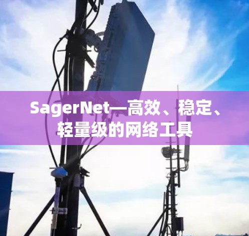 SagerNet—高效、稳定、轻量级的网络工具 SagerNet—高效、稳定、轻量级的网络工具