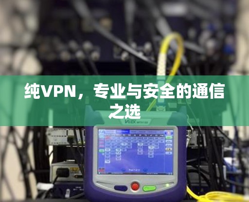 纯VPN，专业与安全的通信之选