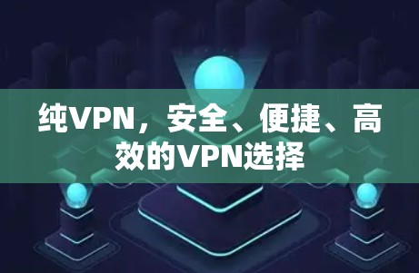 纯VPN，安全、便捷、高效的VPN选择