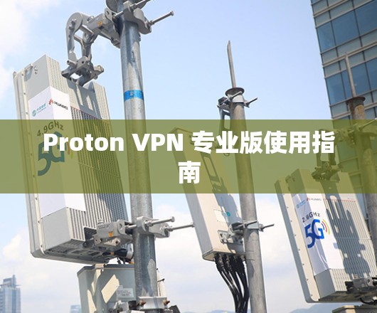 Proton VPN 专业版使用指南