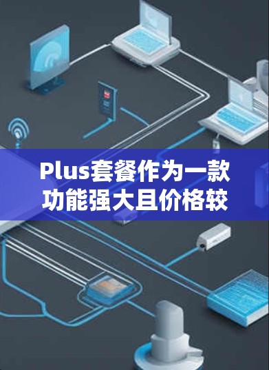 Plus套餐作为一款功能强大且价格较高的套餐，提供了多种高级数据和功能，进一步提升了用户体验。以下是对 Plus套餐功能的解析