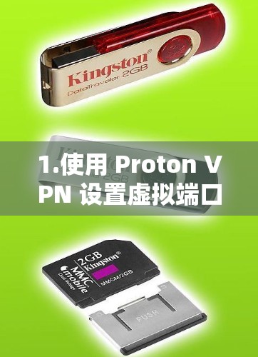 1.使用 Proton VPN 设置虚拟端口 1.使用 Proton VPN 设置虚拟端口