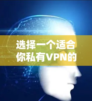 选择一个适合你私有VPN的服务器类型需要综合考虑多个因素。以下是详细的分析和建议，帮助你做出明智的选择