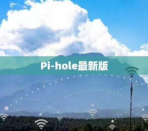 Pi-hole最新版 Pi-hole最新版