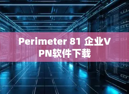 Perimeter 81 企业VPN软件下载