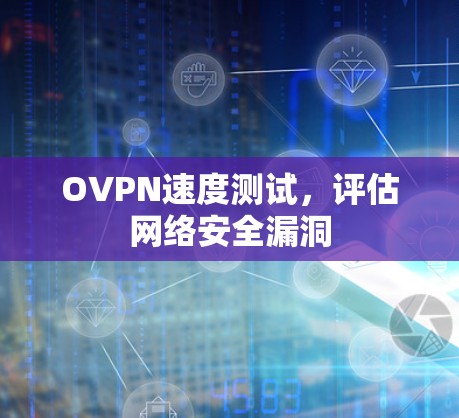 OVPN速度测试,评估网络安全漏洞 OVPN速度测试,评估网络安全漏洞
