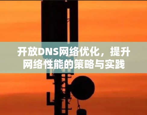 开放DNS网络优化，提升网络性能的策略与实践