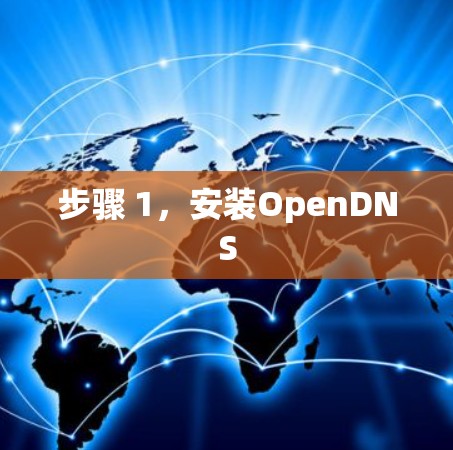 步骤 1,安装OpenDNS 步骤 1,安装OpenDNS