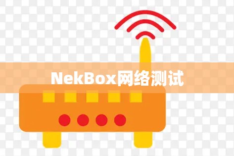 NekBox网络测试 NekBox网络测试