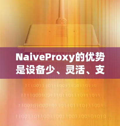 NaiveProxy的优势是设备少、灵活、支持多语言,缺点是可能有攻击者服务器,技术要求高,需要同时攻击多个目标服务器,可能带来额外的复杂性 NaiveProxy的优势是设备少、灵活、支持多语言,缺点是可能有攻击者服务器,技术要求高,需要同时攻击多个目标服务器,可能带来额外的复杂性
