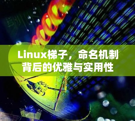 Linux梯子,命名机制背后的优雅与实用性 Linux梯子,命名机制背后的优雅与实用性