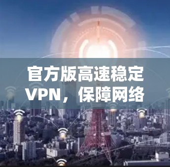 官方版高速稳定VPN,保障网络安全,提升用户体验