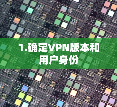 1.确定VPN版本和用户身份
